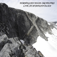 Norwegian Noise Orchestra - Live At Øyafestivalen