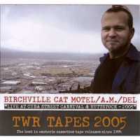 Birchville Cat Motel / A.M. / DEL - Live at Cuba Street Carnival & Huttstock - 2005