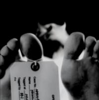 Phonoloid - Phonoloid